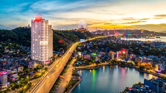 lĩnh vực hoạt động